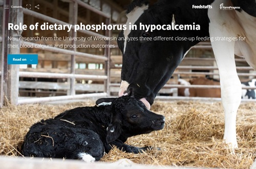 Role of dietary phosphorus in hypocalcemia - Feedstuffs - May 2024